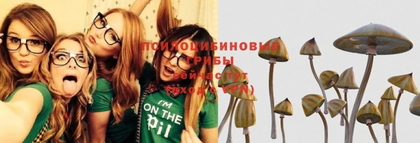 прущие крисы Зеленокумск