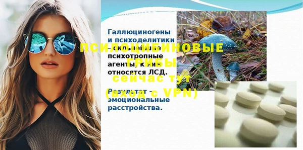 прущие крисы Зеленокумск