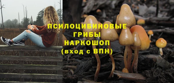 прущие крисы Зеленокумск