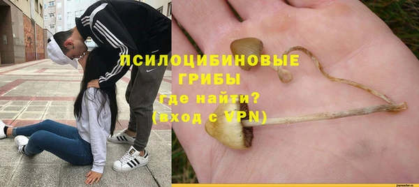 прущие крисы Зеленокумск