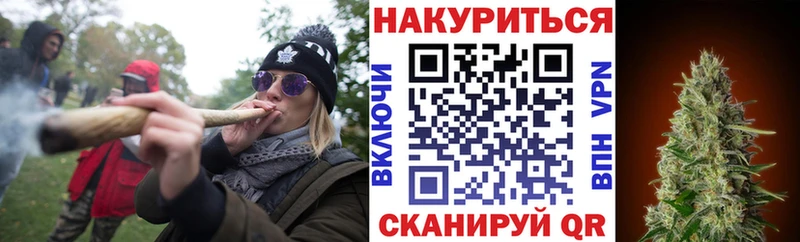 Канабис сатива  Каргополь 